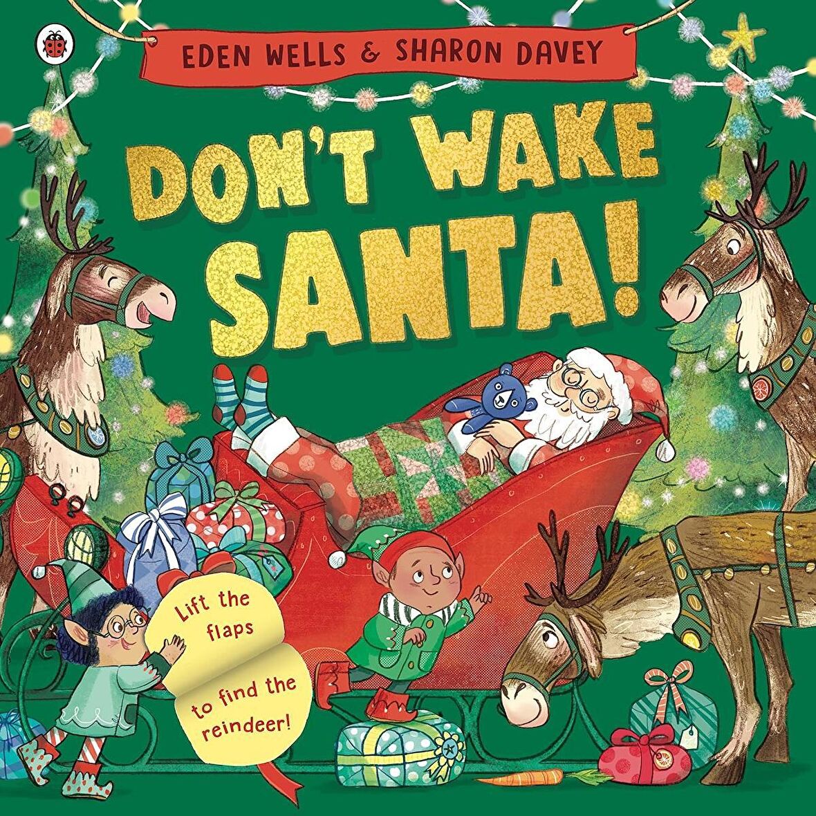 Don't Wake Santa: A lift-the-flap Christmas book