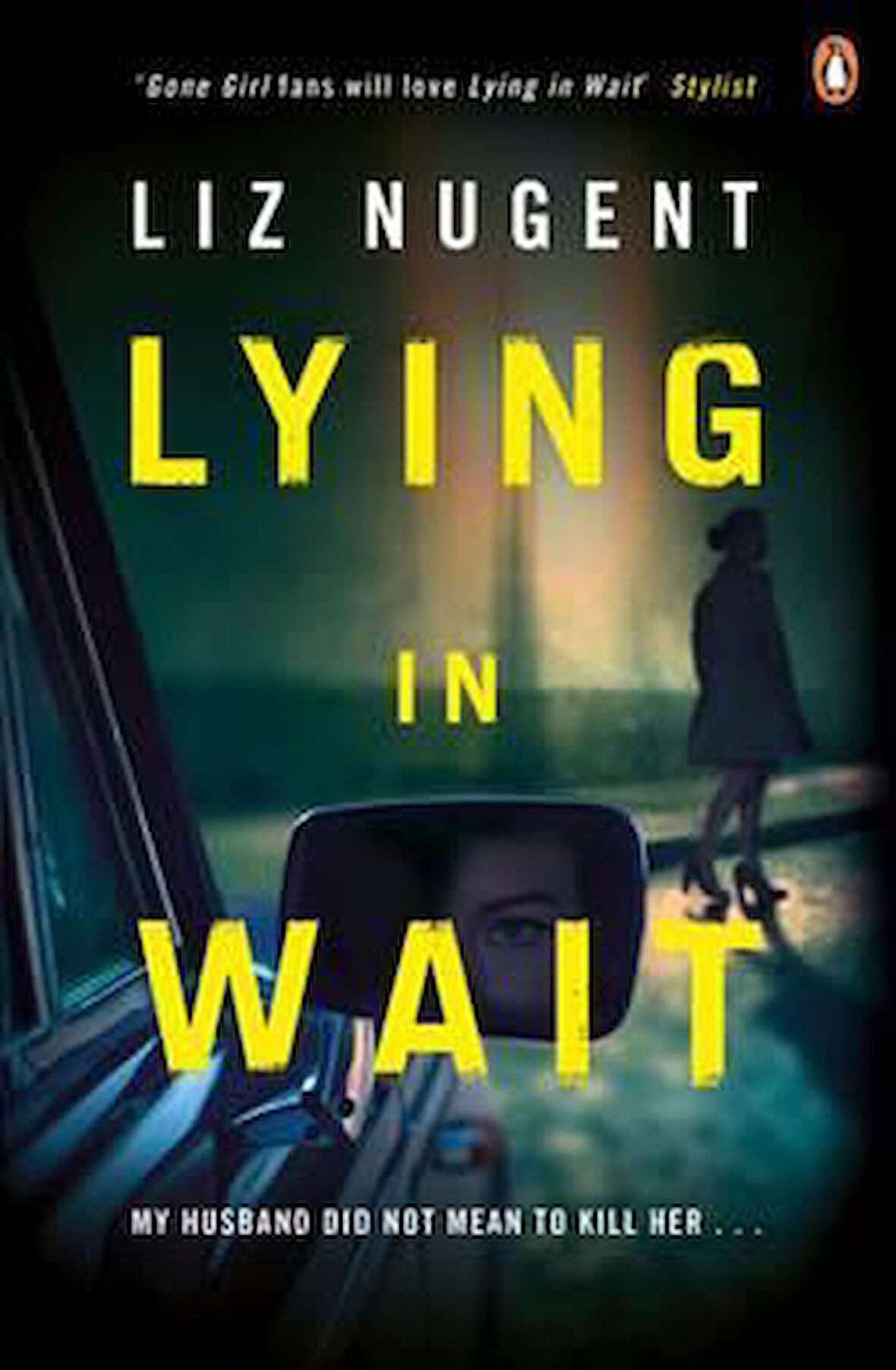 Lying In Wait - Liz Nugent