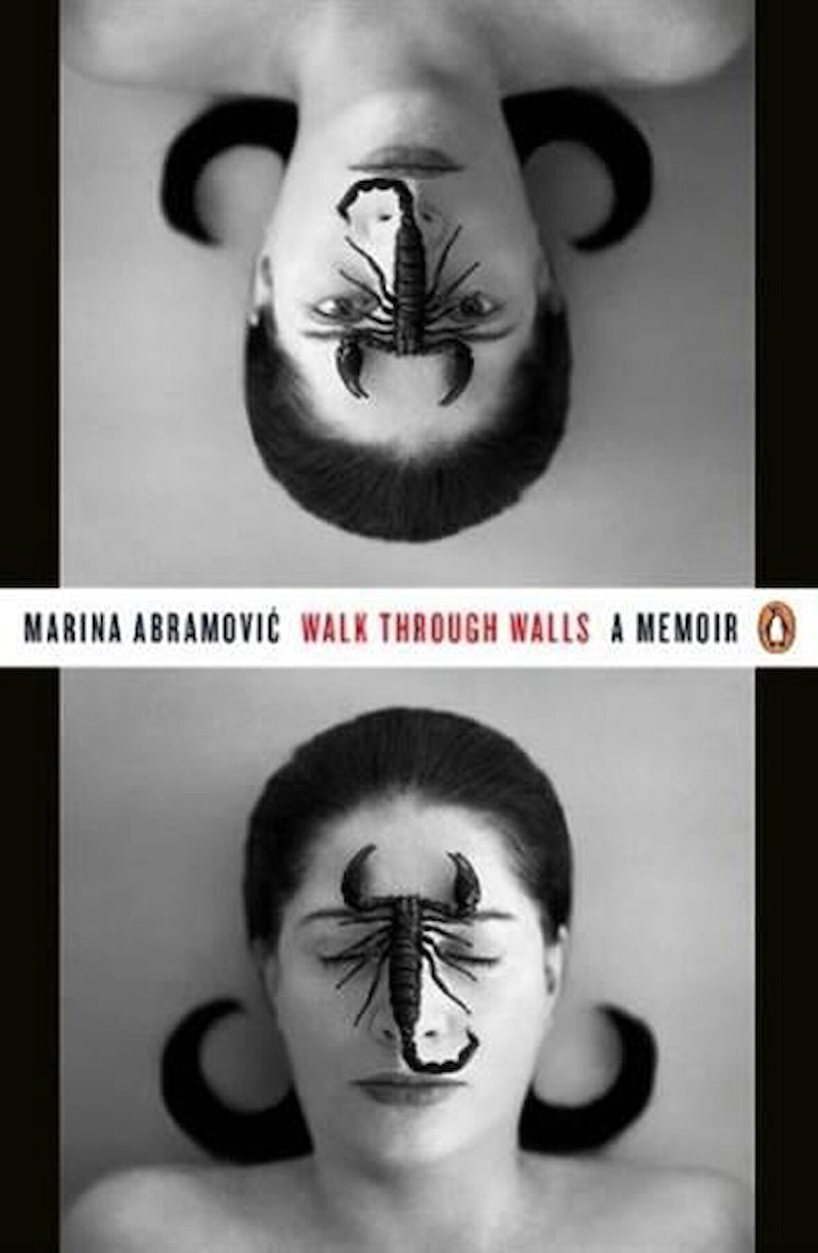 Walk Through Walls - Marina Abramovic