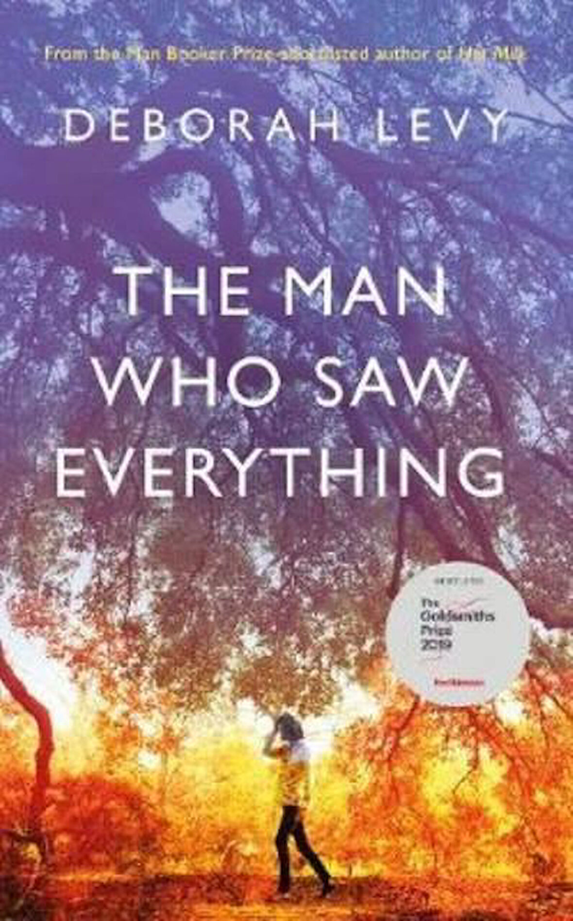 The Man Who Saw Everything - Deborah Levy