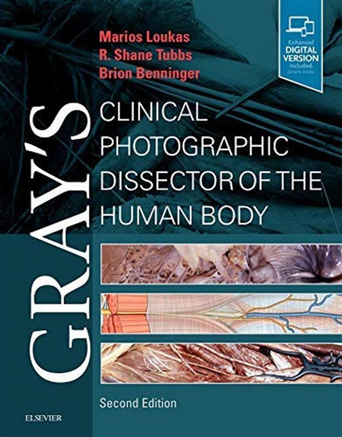 Gray's Clinical Photographic Dissector of the Human Body (Gray's Anatomy) 2nd Edition  Marios Loukas MD PhD