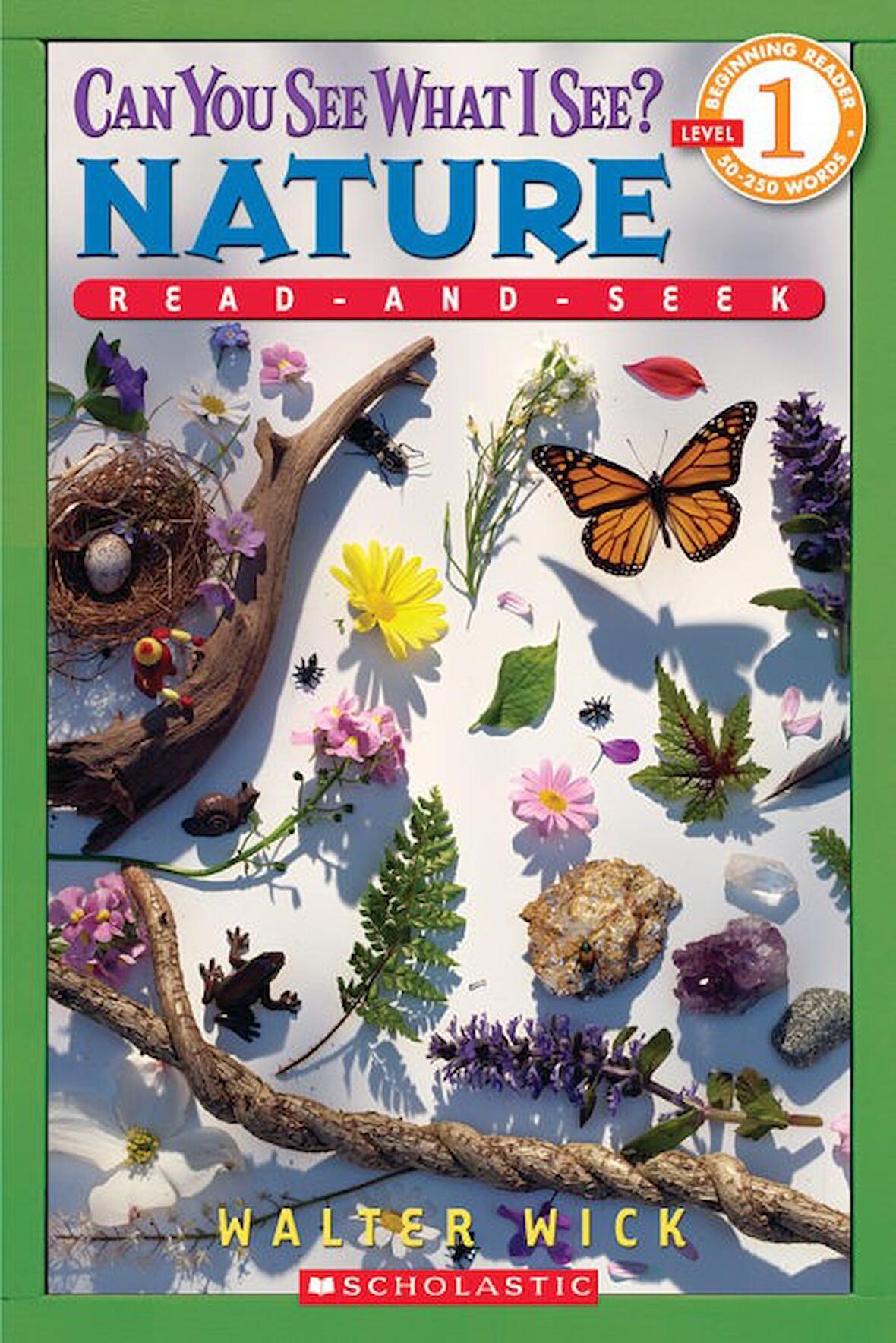 Can You See What I See? Nature (Scholastic Reader 