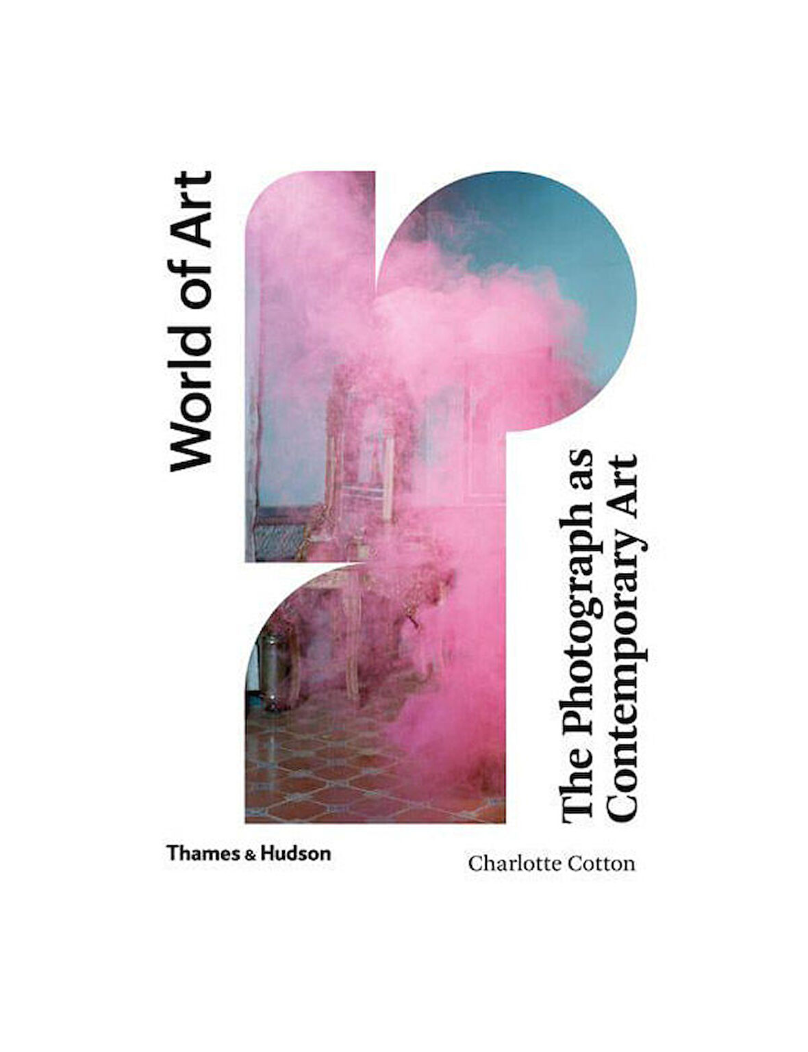 Thames & Hudson The Photograph as Contemporary Art (World of Art) 9780500204481