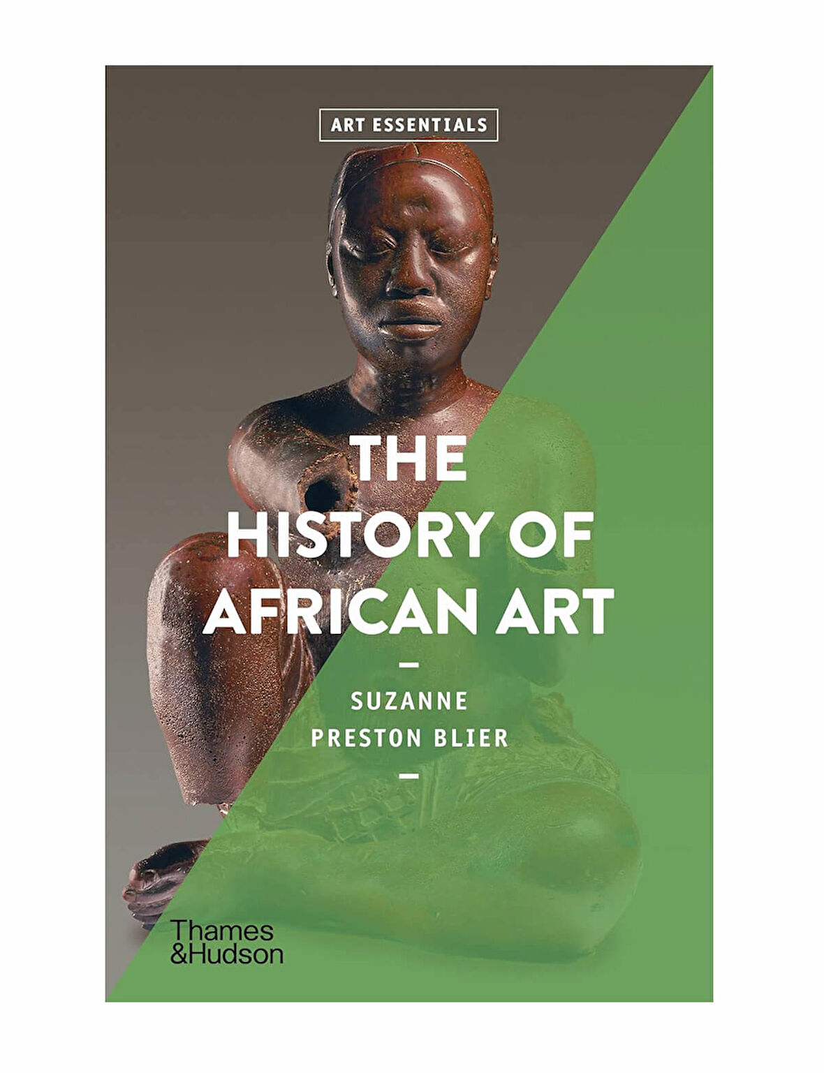 Thames & Hudson The History of African Art 9780500296257