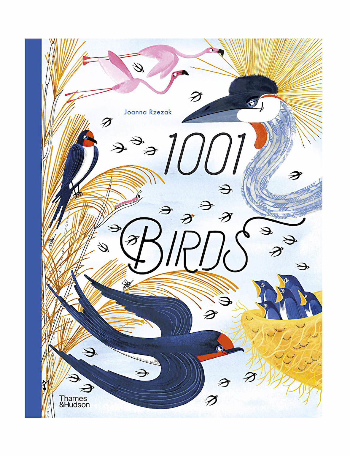 Thames And Hudson 1001 Birds 9780500653241