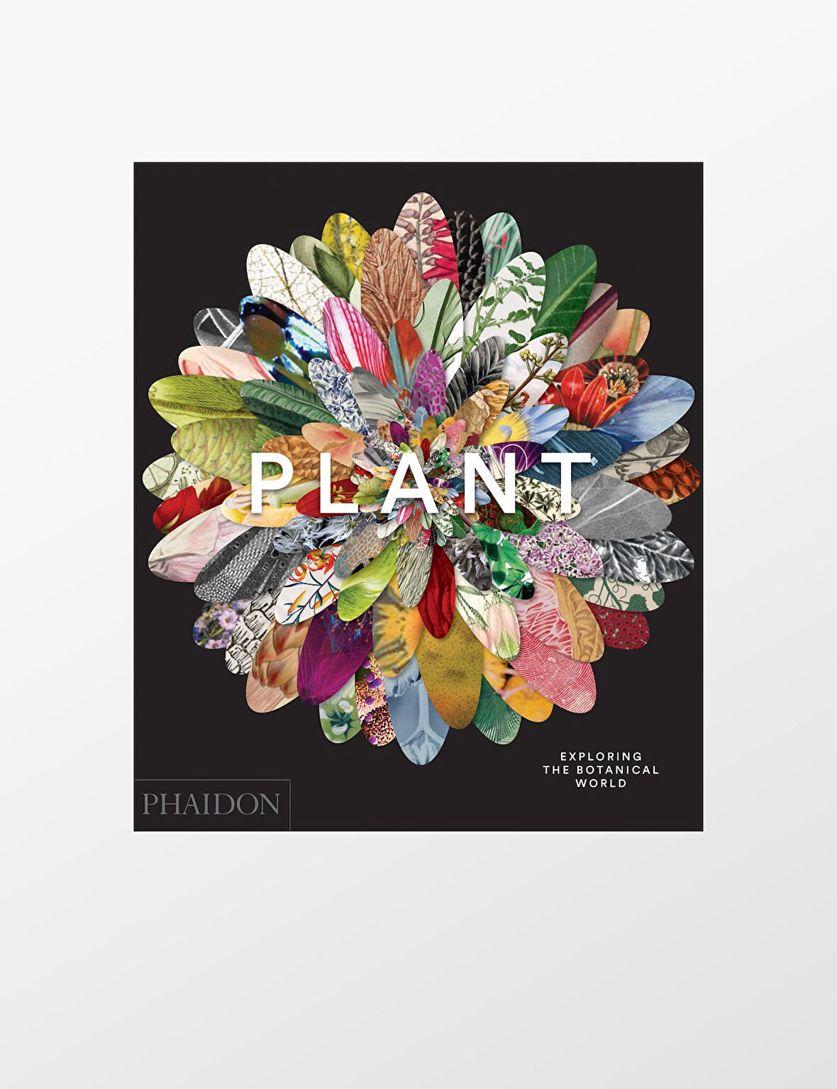 Phaidon Plant 9780714871486