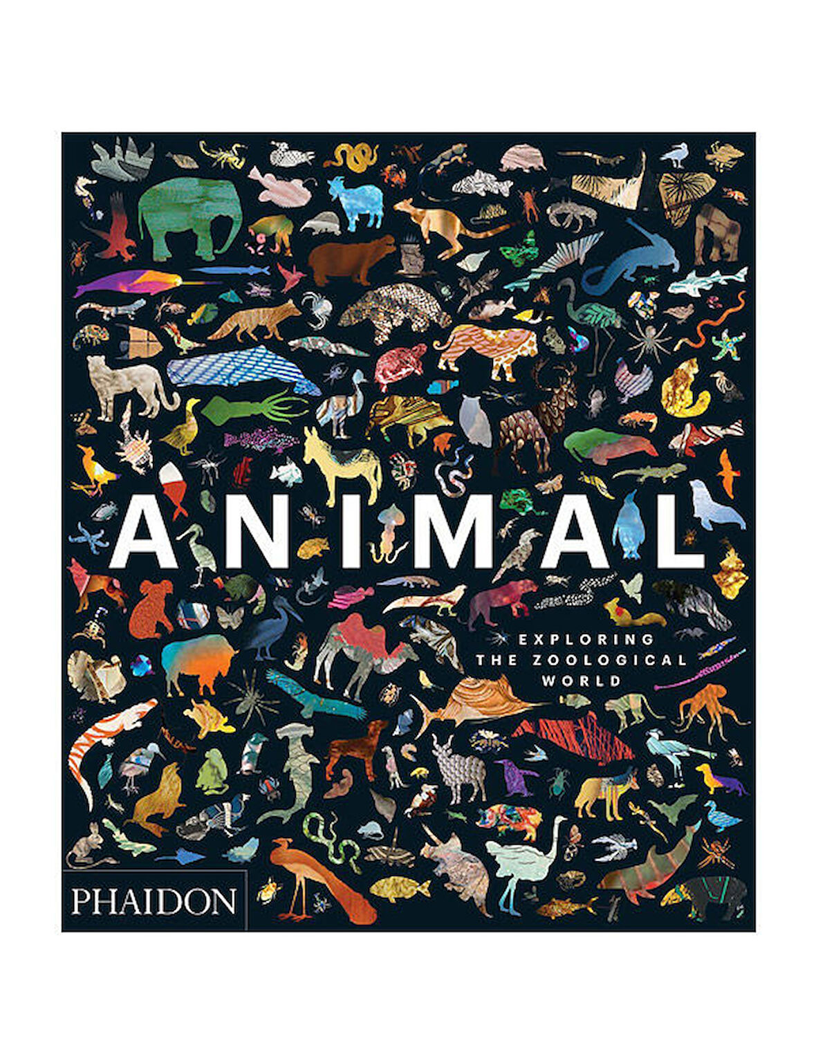 Phaidon Animal Exploring the Zoological World 9780714876818