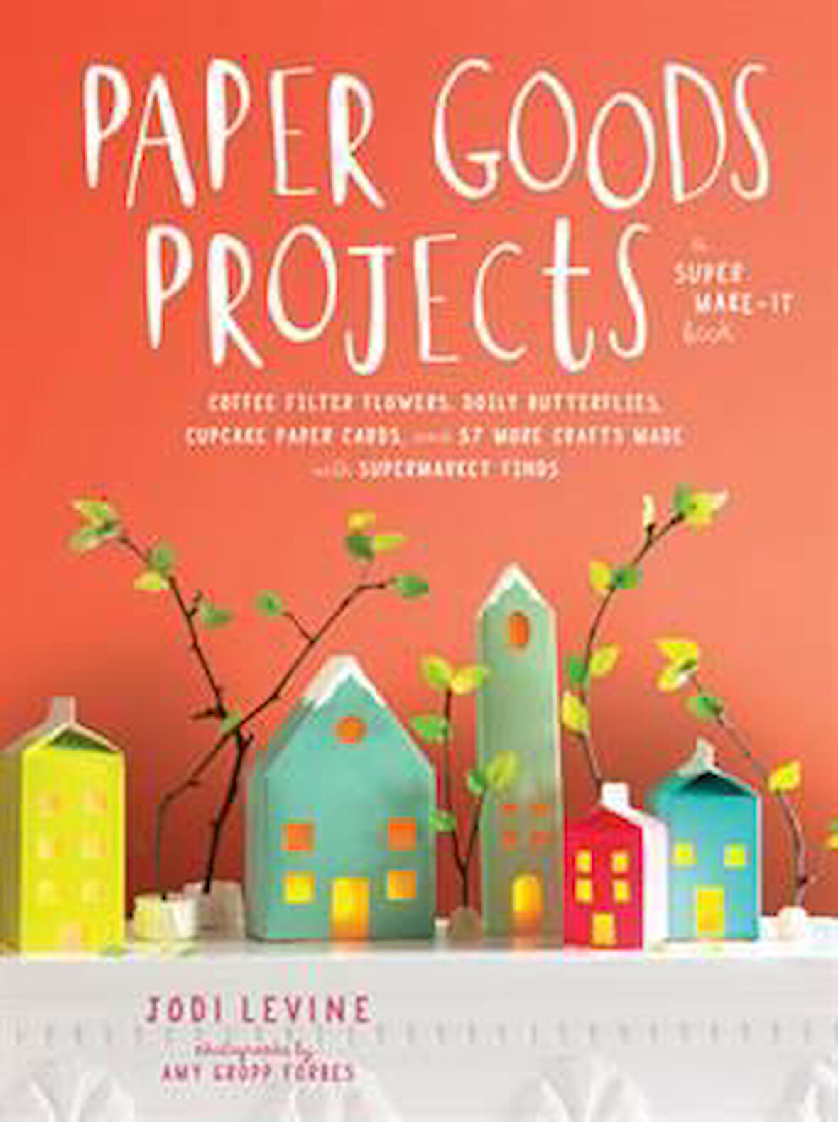 Paper Goods Projects - Jodi Levine
