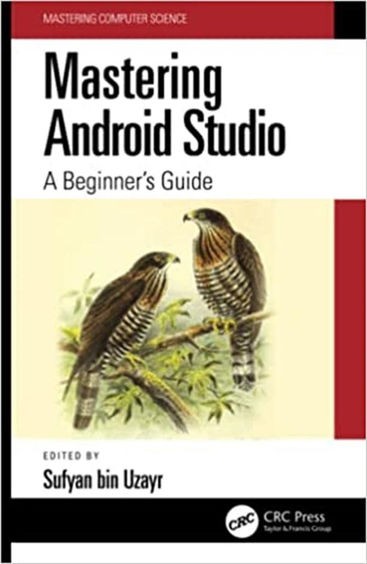 Mastering Android Studio (Mastering Computer Science) 1st Edition