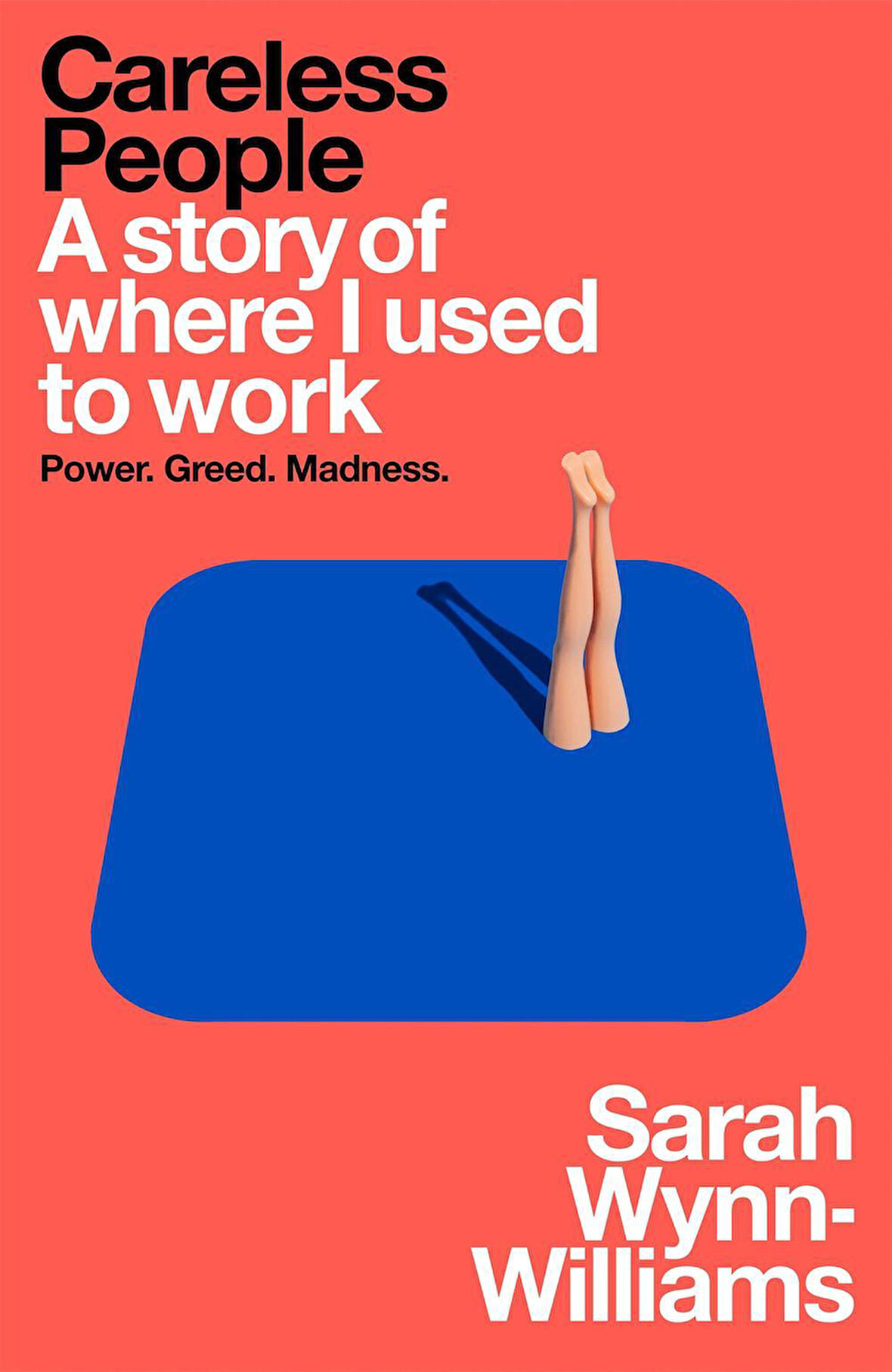 Careless People: A story of where I used to work - Sarah Wynn-Williams
