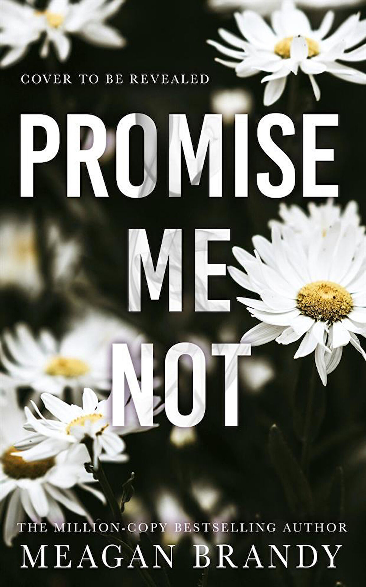 Promise Me Not - Boys of Avix - Meagan Brandy