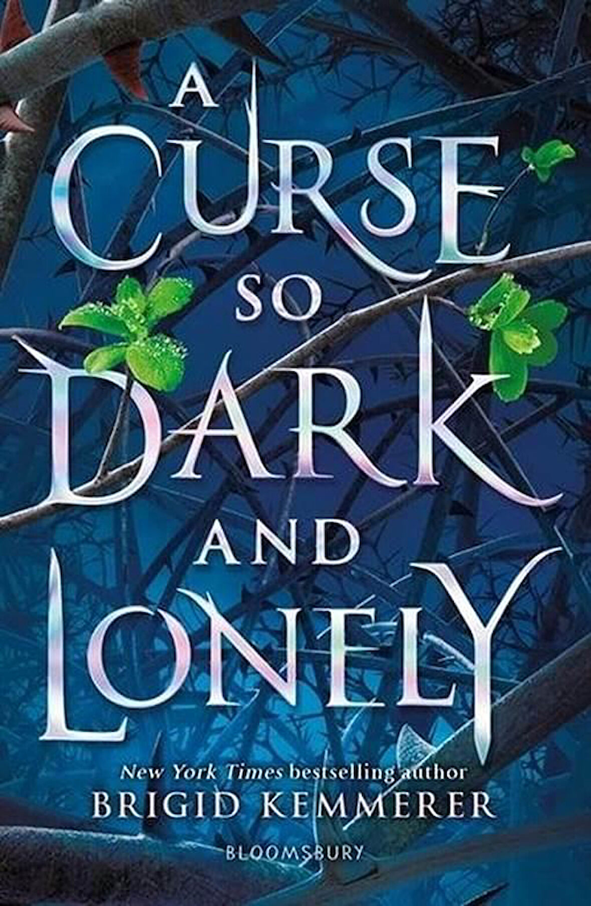 A Curse So Dark And Lonely - Brigid Kemmerer