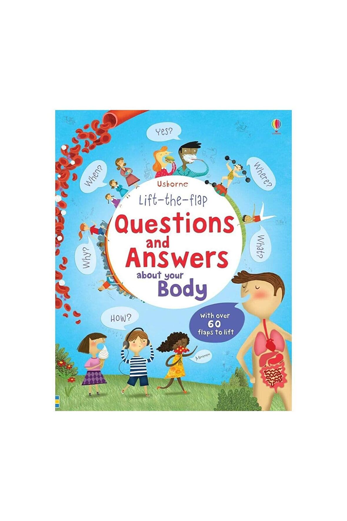 Questions and Answers About Your Body