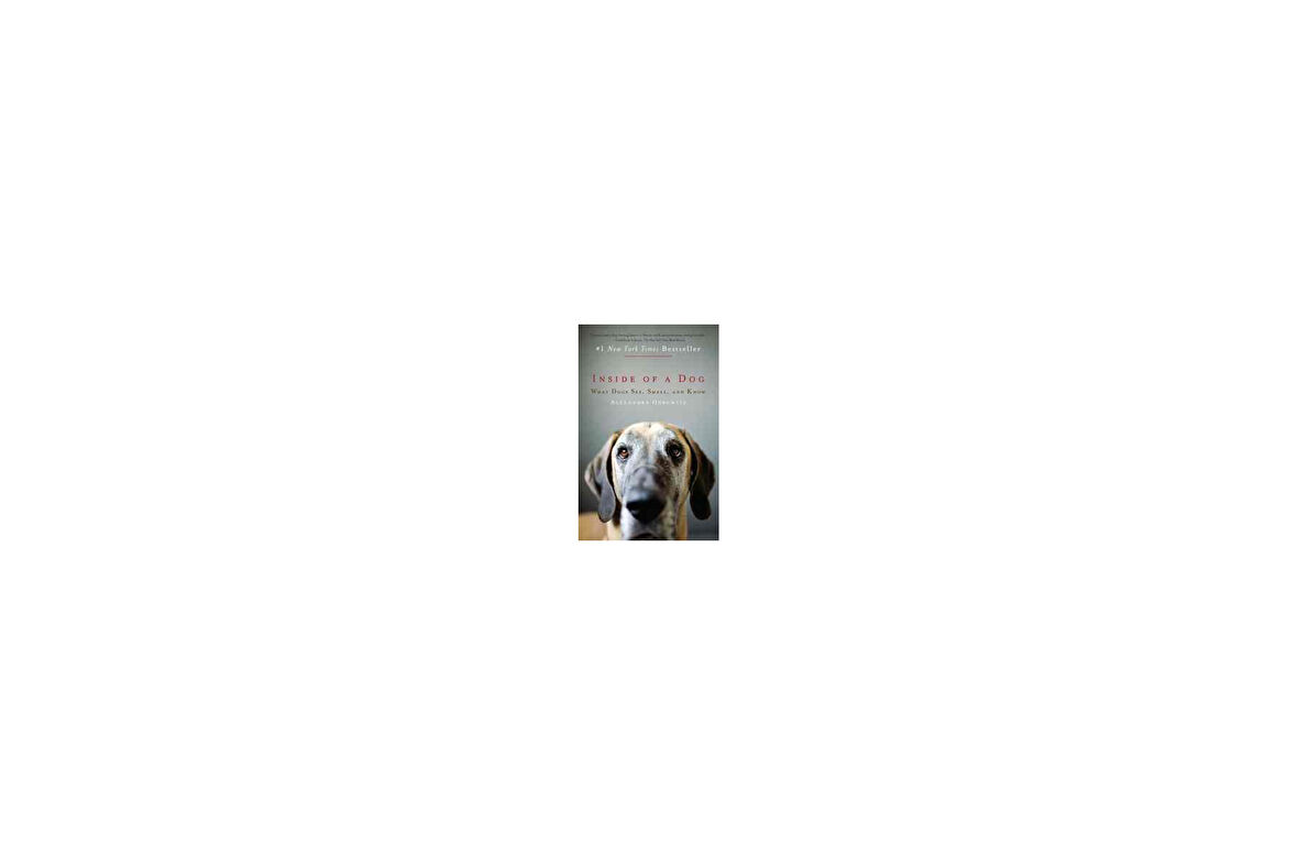 Inside of a Dog: What Dogs See Smell and Know - Alexandra Horowitz