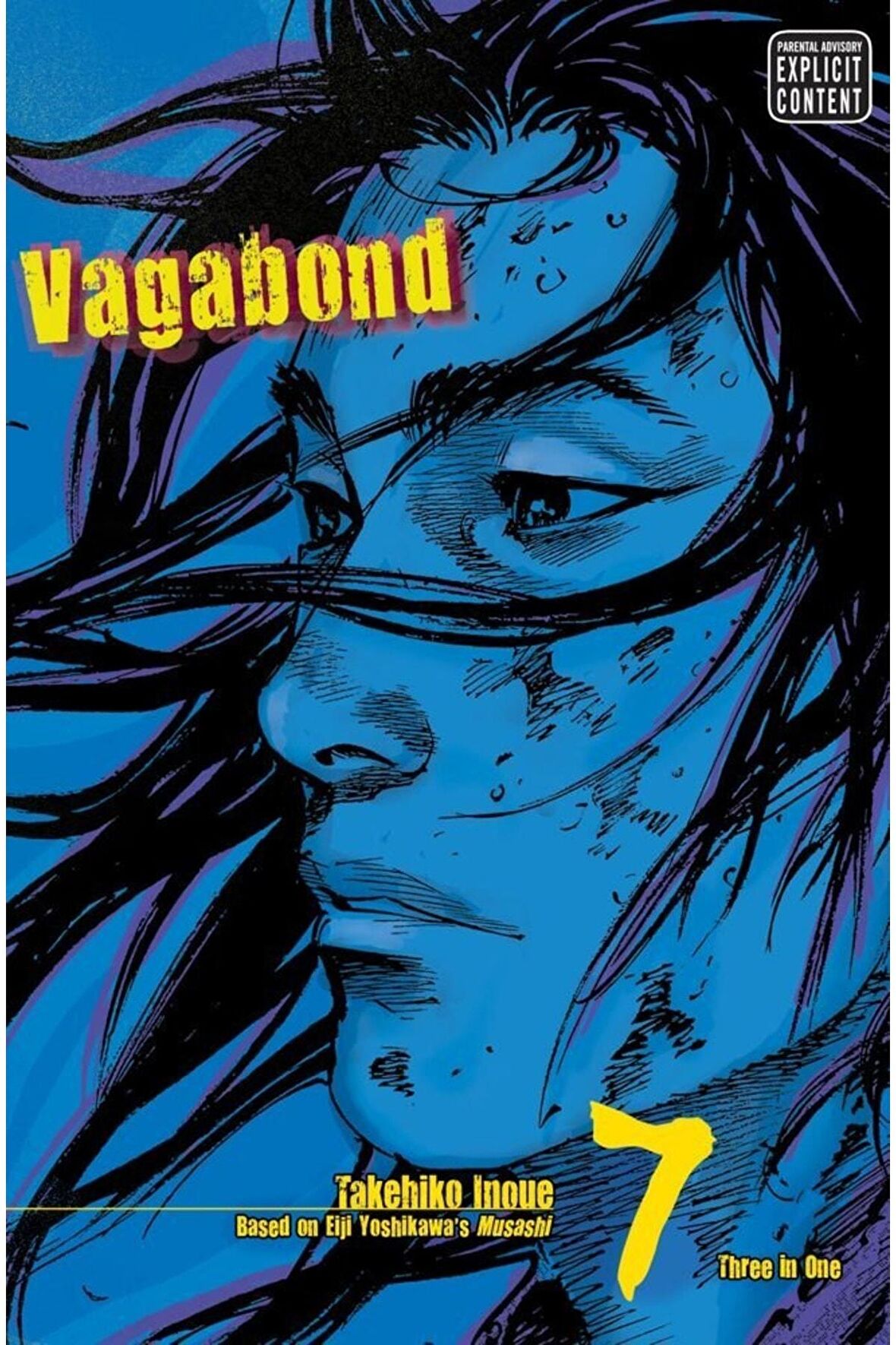 Vagabond Vizbig Edition, Vol. 7