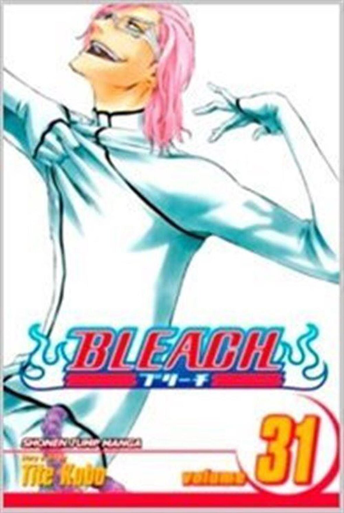 Bleach, Volume 31 / Tite Kubo