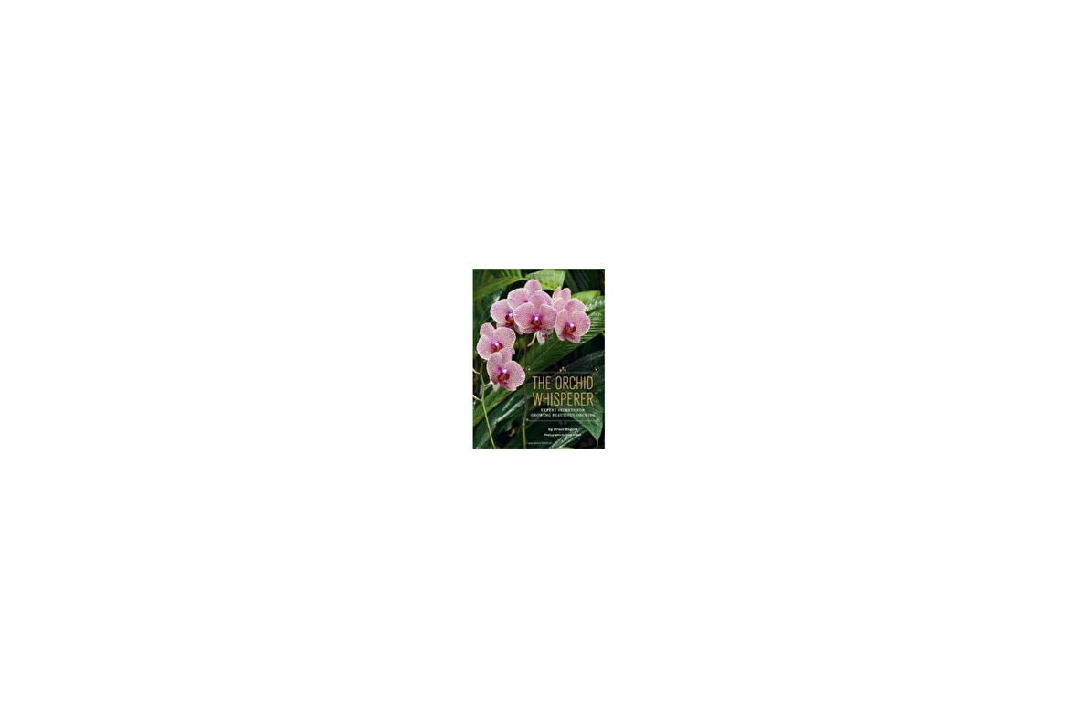 The Orchid Whisperer: Expert Secrets for Growing Beautiful Orchids - Bruce Rogers