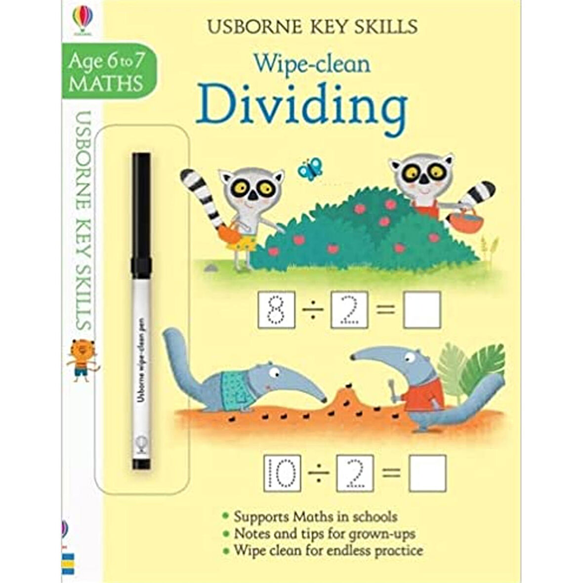 MdlUsb Key Skills Wipe Clean Dividing 67