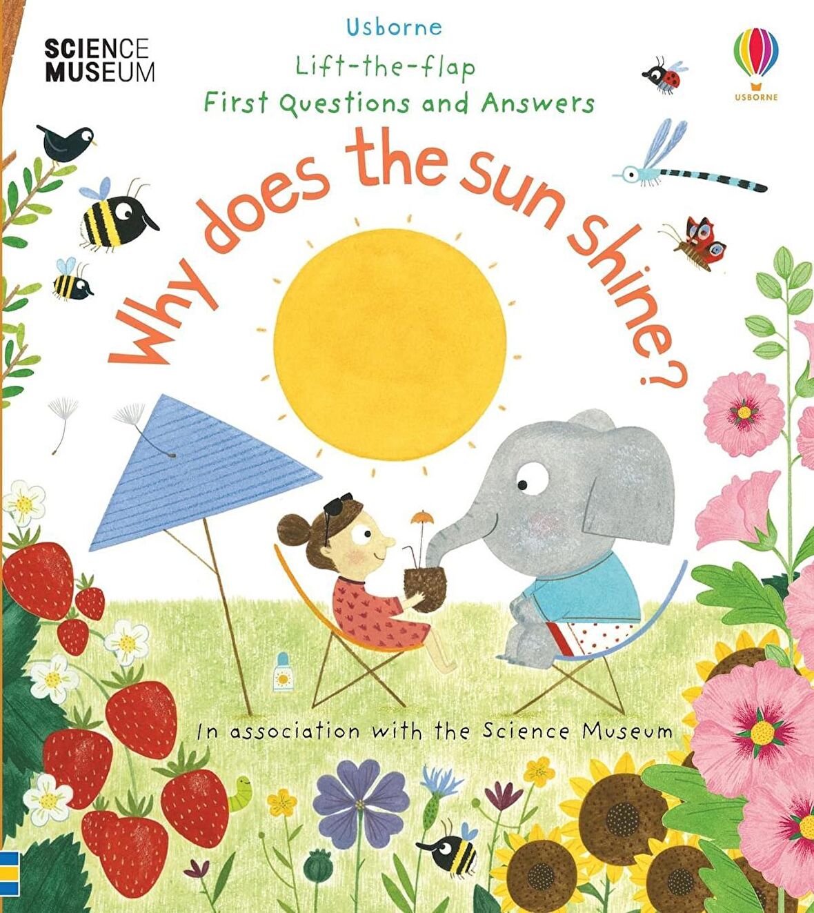 Why Does the Sun Shine? (Lift the Flap First Questions and Answers)