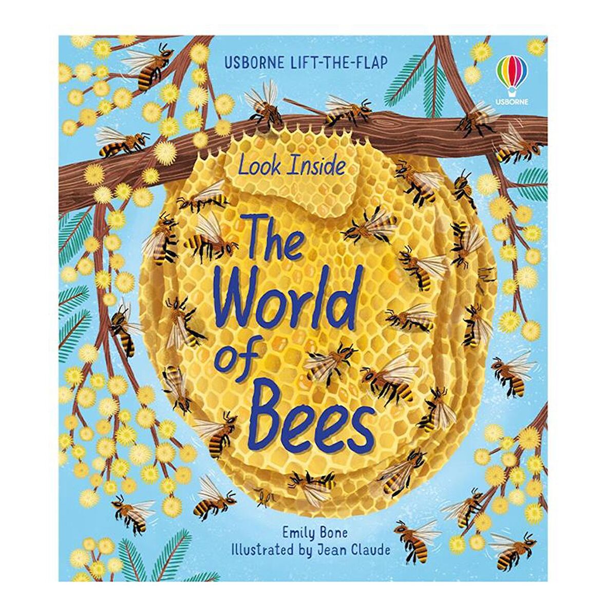 Usborne Look Inside: The World of Bees