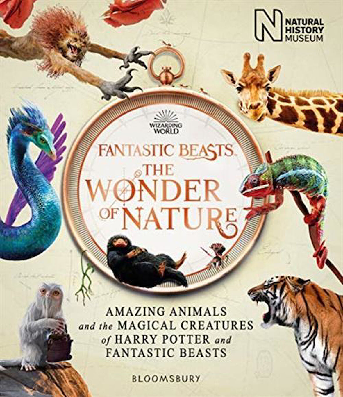 Fantastic Beasts The Wonder Of Nature - Collective