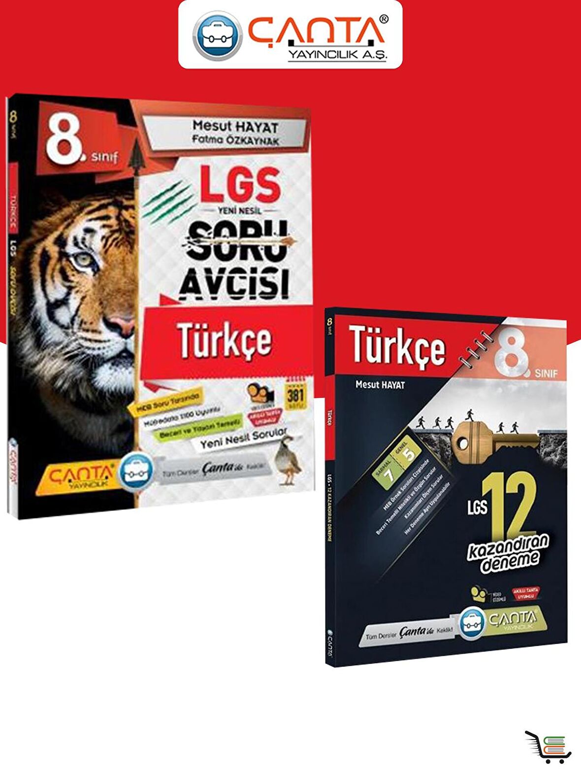 Çanta Yayınları 8. Sınıf Türkçe Soru Bankası + Deneme Seti