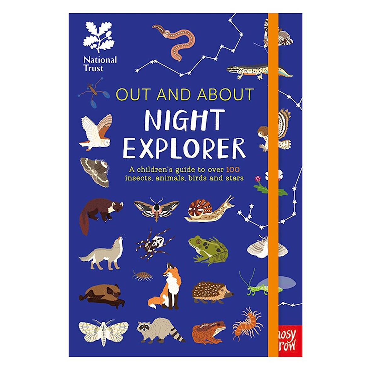 Nosy Crow Out and About Night Explorer