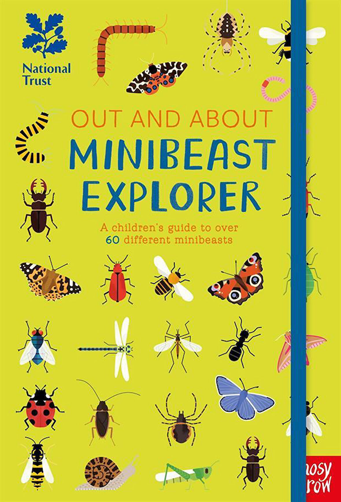 Minibeast Explorer A Children's Guide to Over 60 Different Minibeasts - Out and About - Robyn Swift