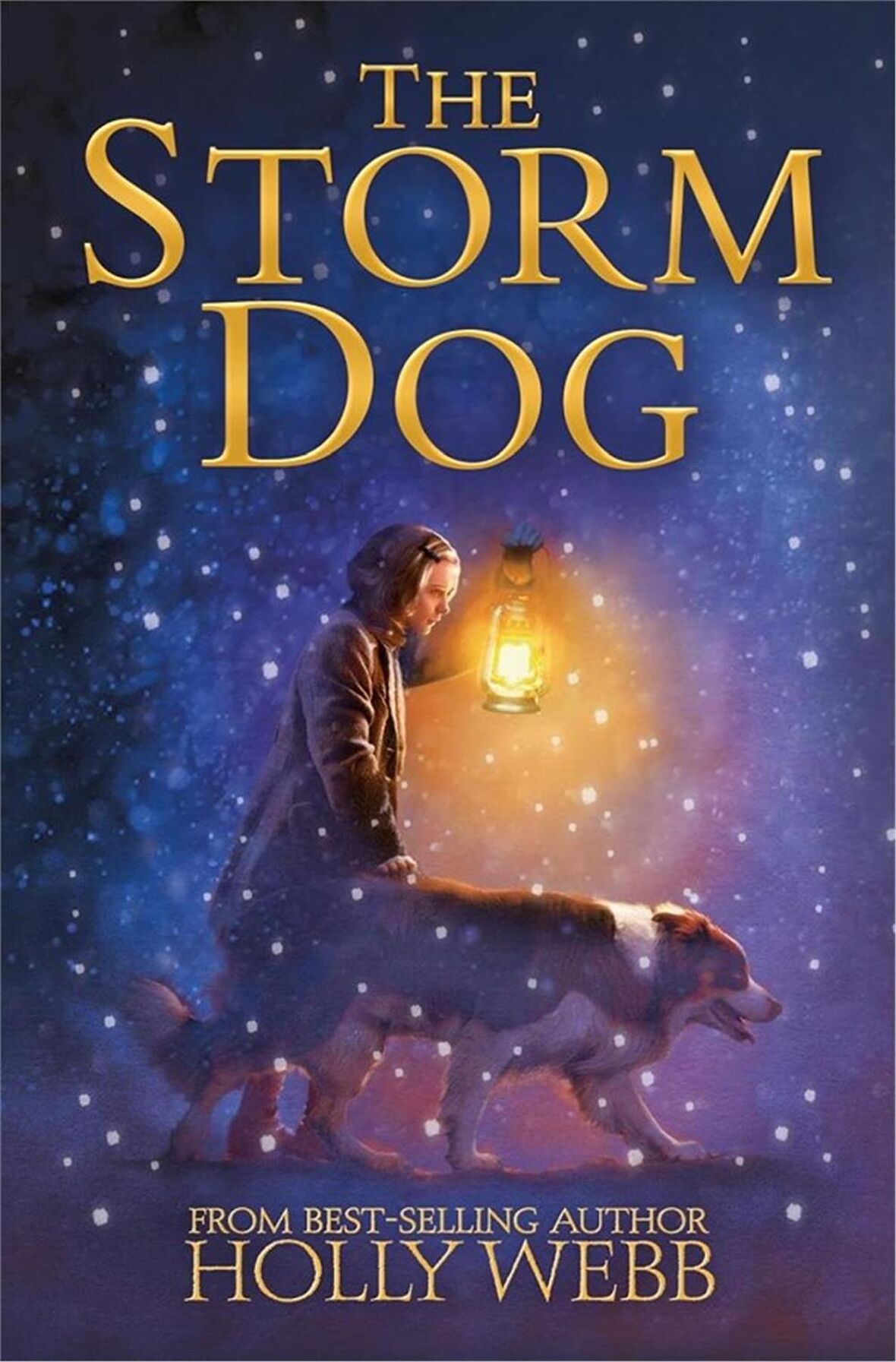 Holly Webb Animal Stories: Winter Animal Stories: The Storm Dog