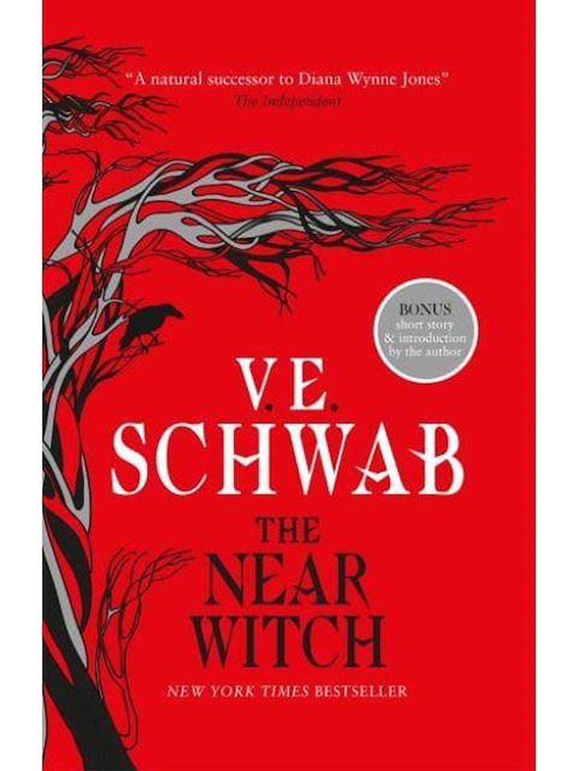The Near Witch - Victoria Schwab
