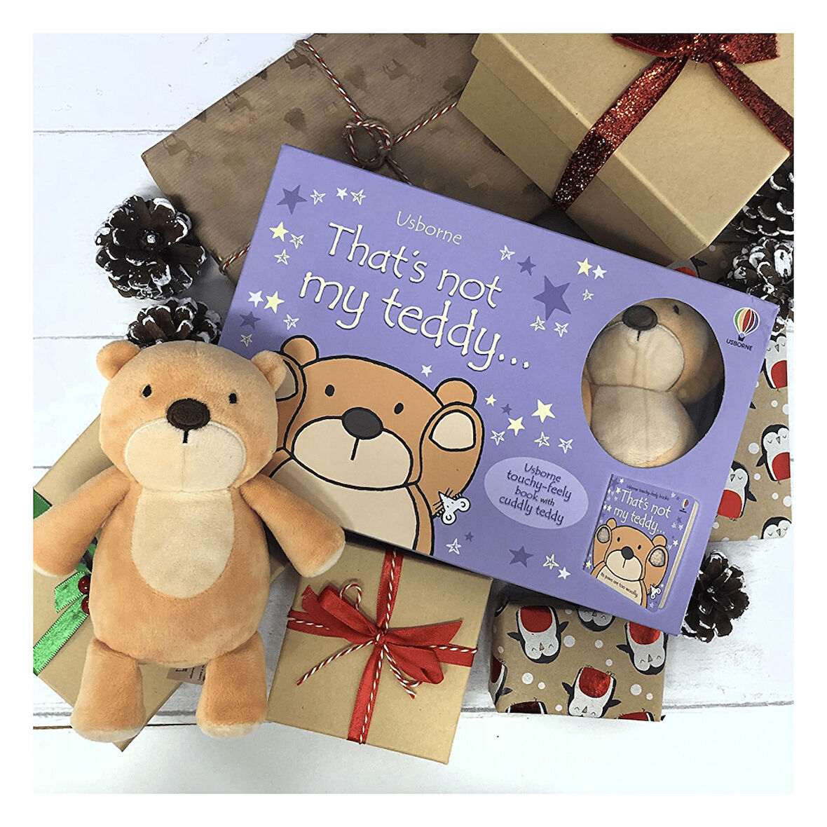 Thats Not My Teddy - Book and Toy