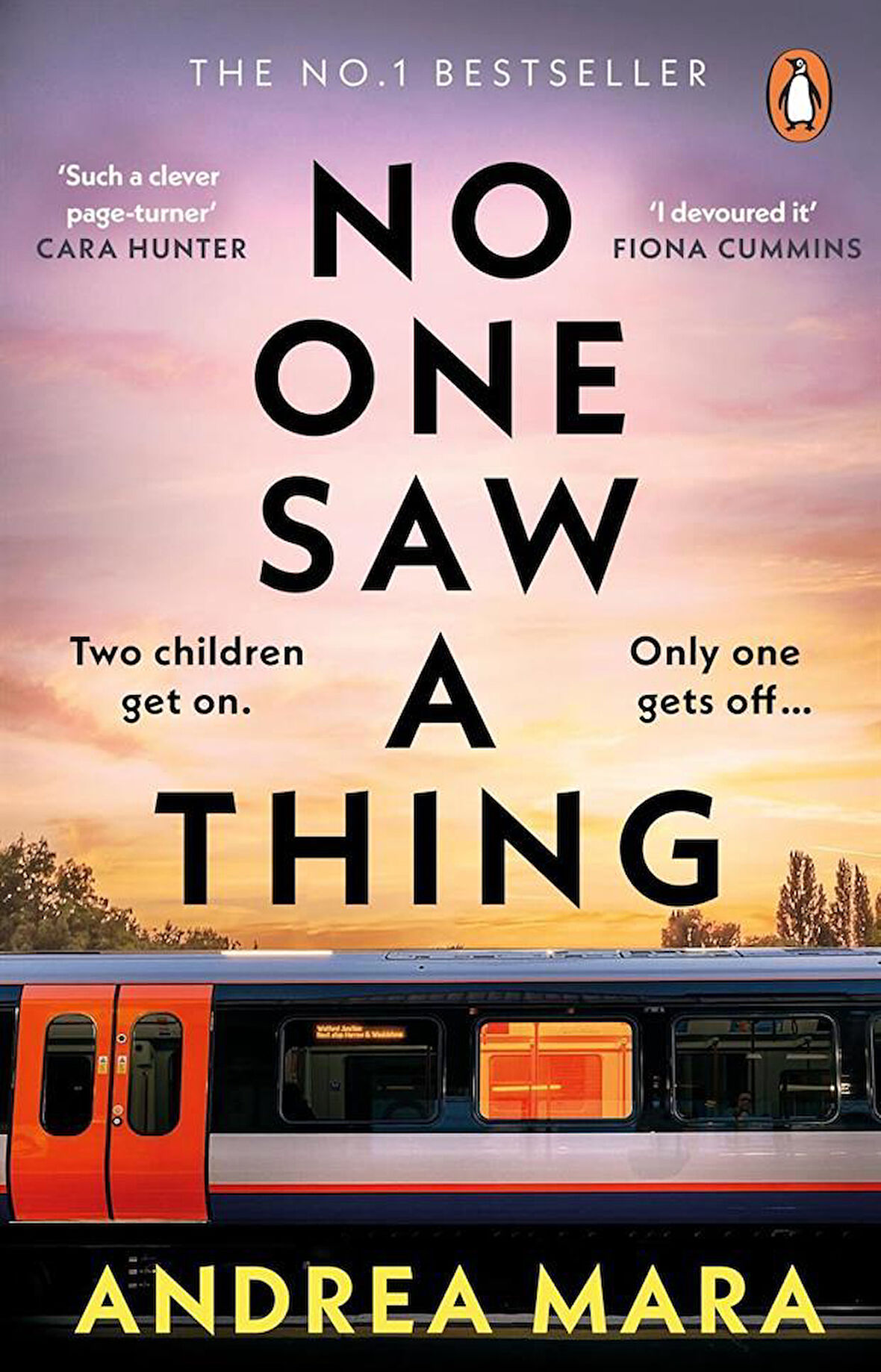 No One Saw a Thing - Andrea Mara