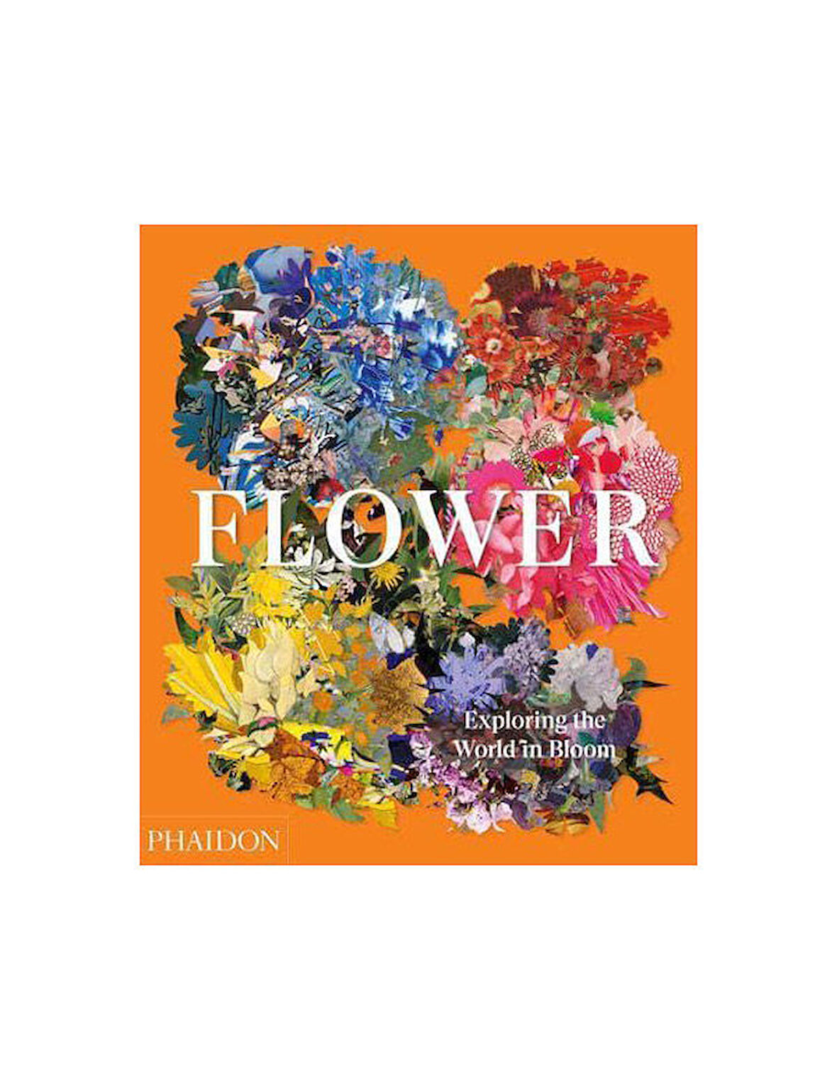 Phaidon Flower Exploring the World in Bloom 9781838660857