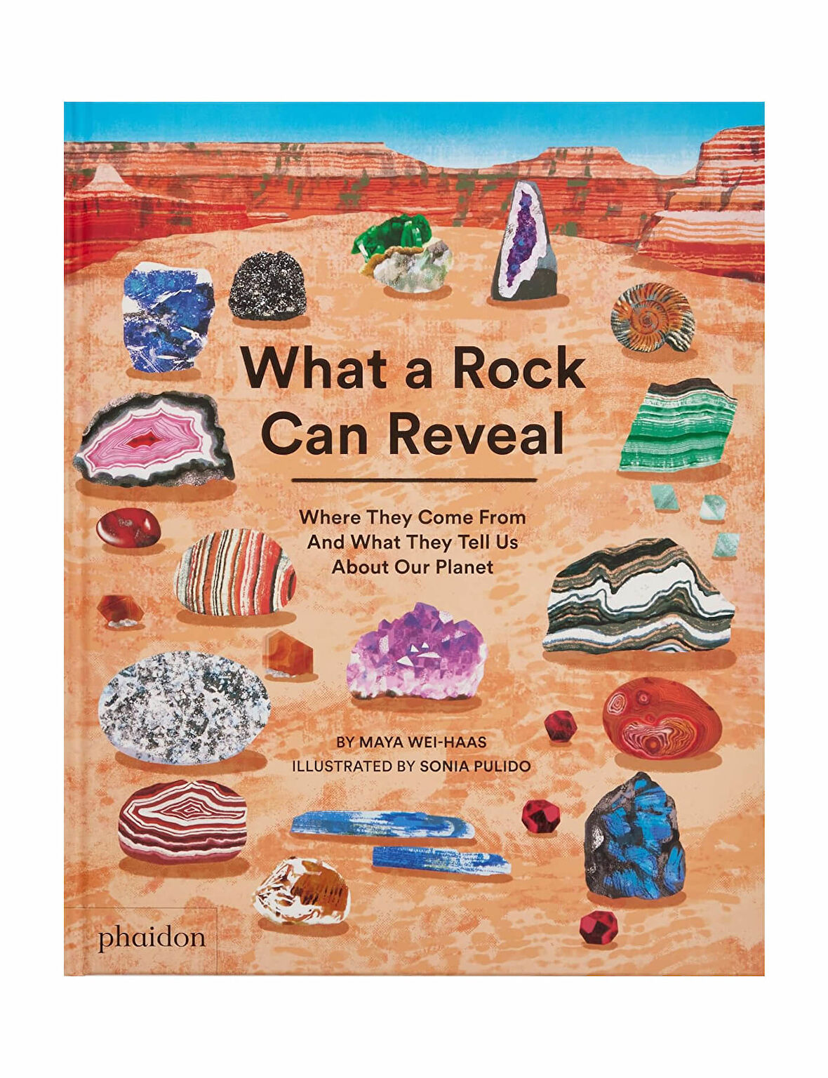 Phaidon What A Rock Can Reveal 9781838667894