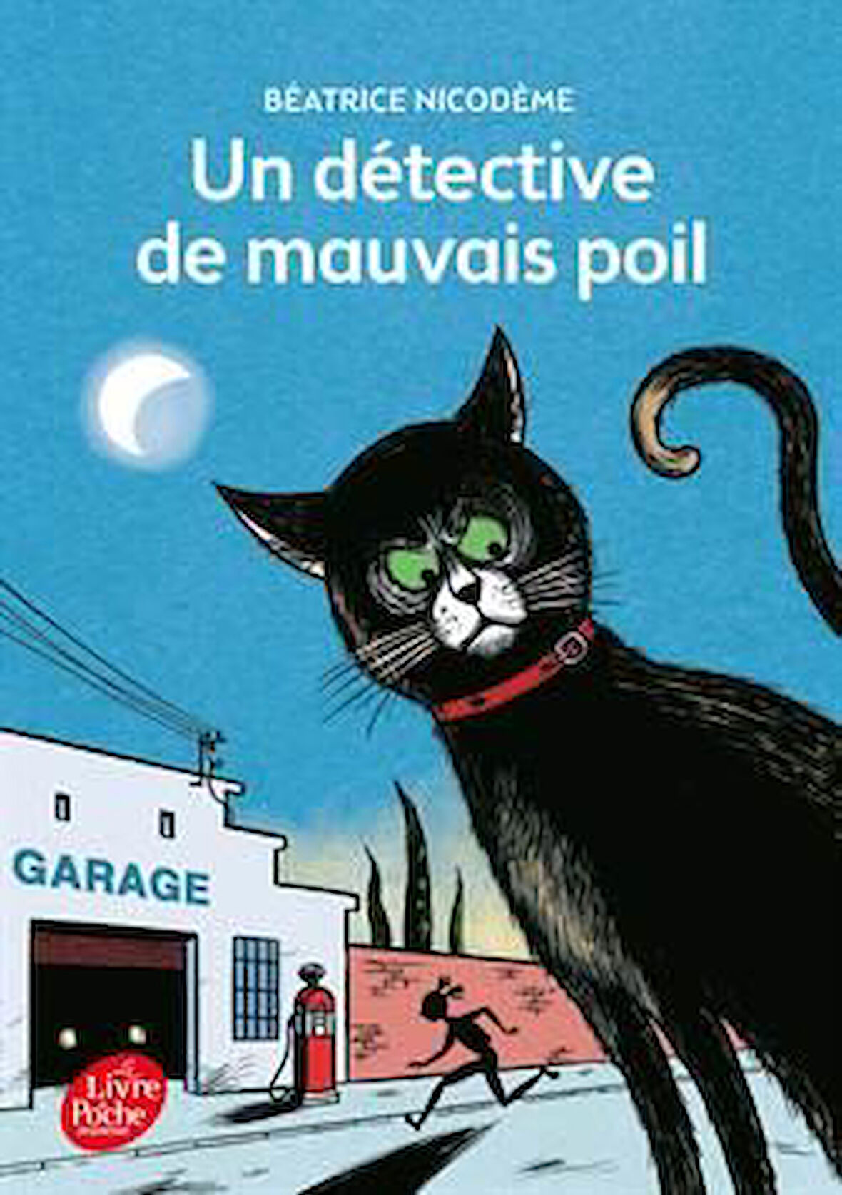 Un detective de mauvais poil - Béatrice Nicodème