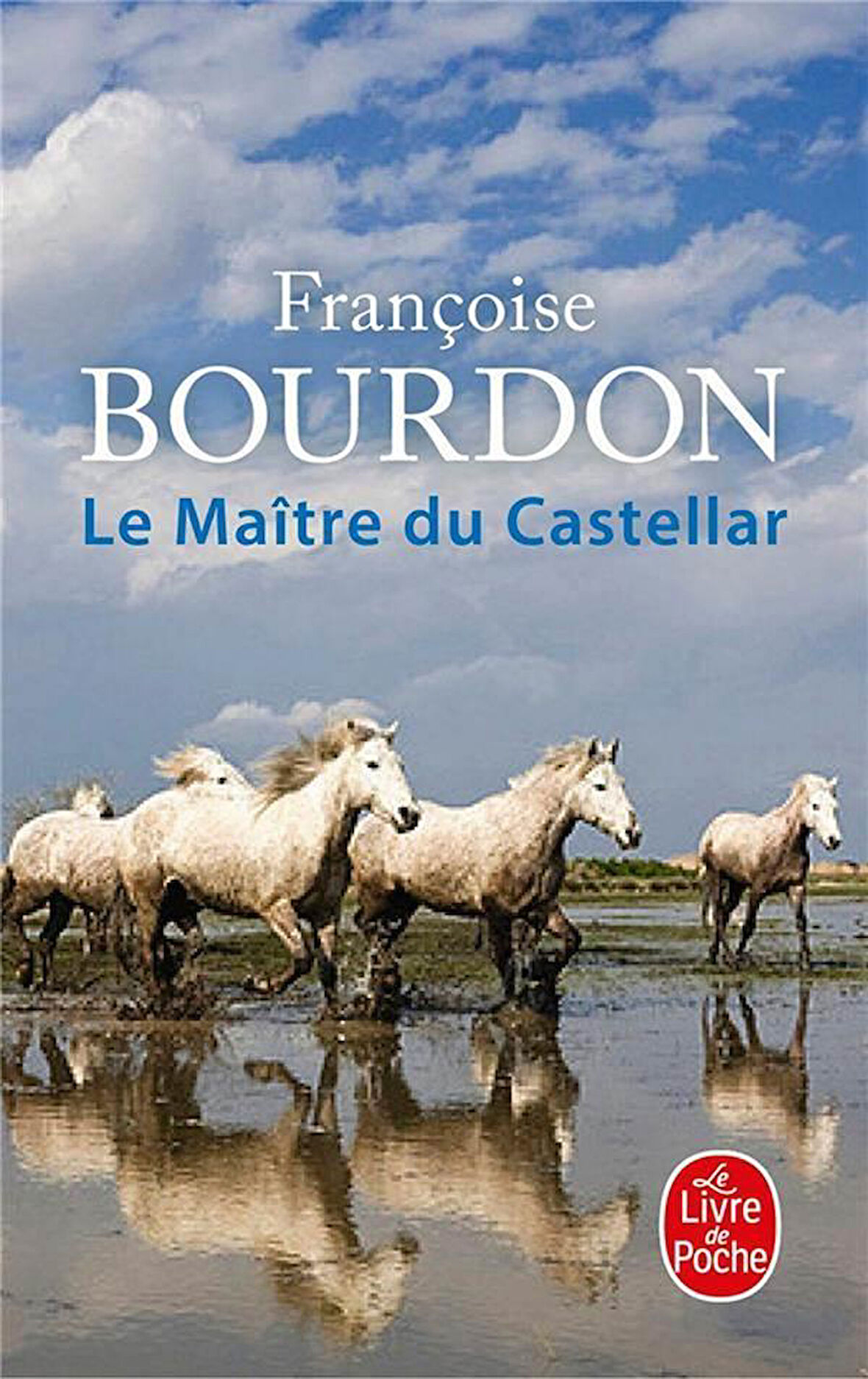 Le Maitre Du Castellar - Françoise Bourdon