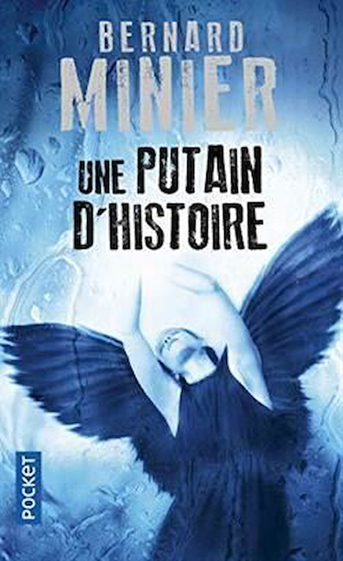 Une Putain D'historie - Bernard Minier