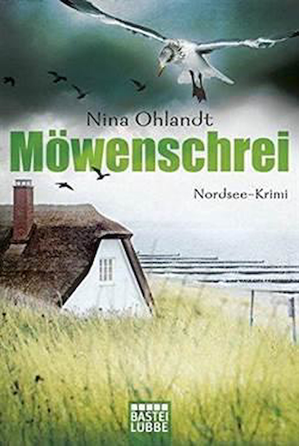 Möwenschrei  (Hauptkommissar John Benthien 2) - Nina Ohlandt
