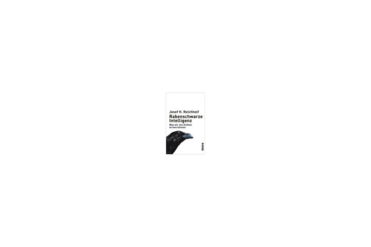 Rabenschwarze Intelligenz - Josef H. Reichholf