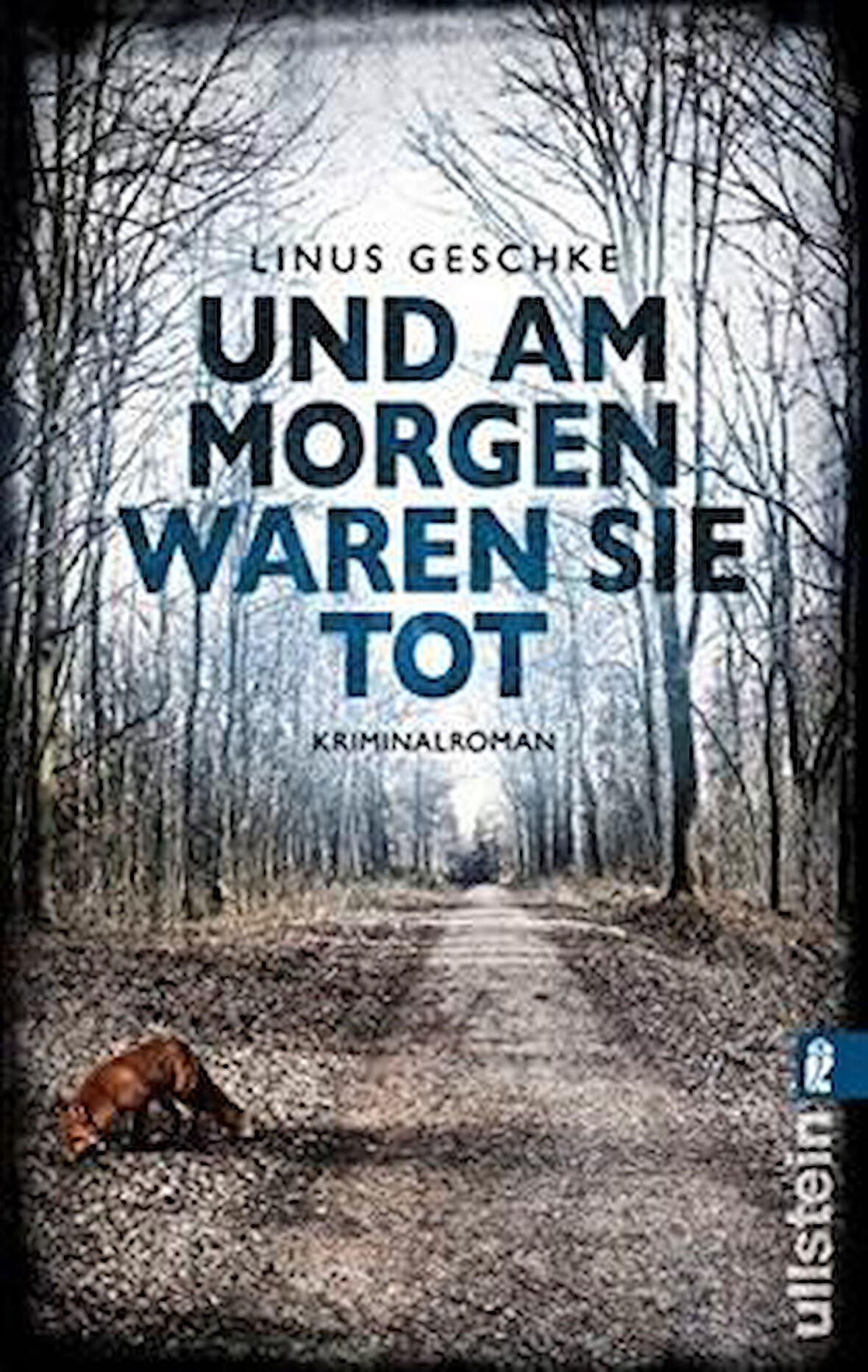 Und am Morgen waren sie tot (Jan-Römer-Krimi 2) - Linus Geschke