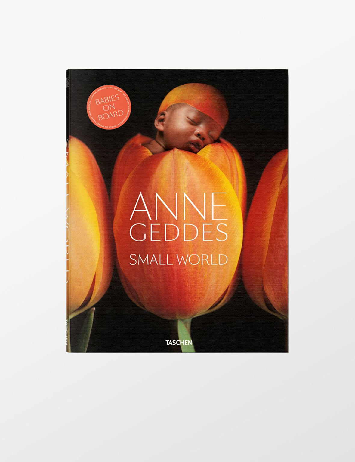 Taschen Geddes Small World 9783836519472