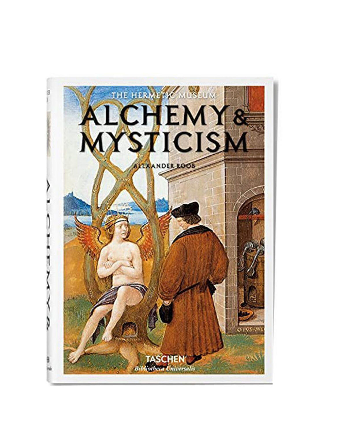 Taschen Alchemy & Mysticism 9783836549363