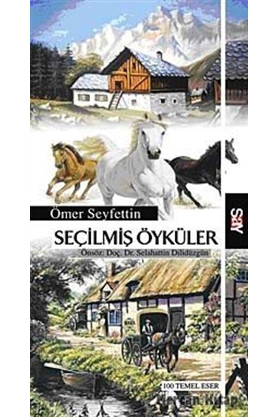 Seçilmiş Öyküler