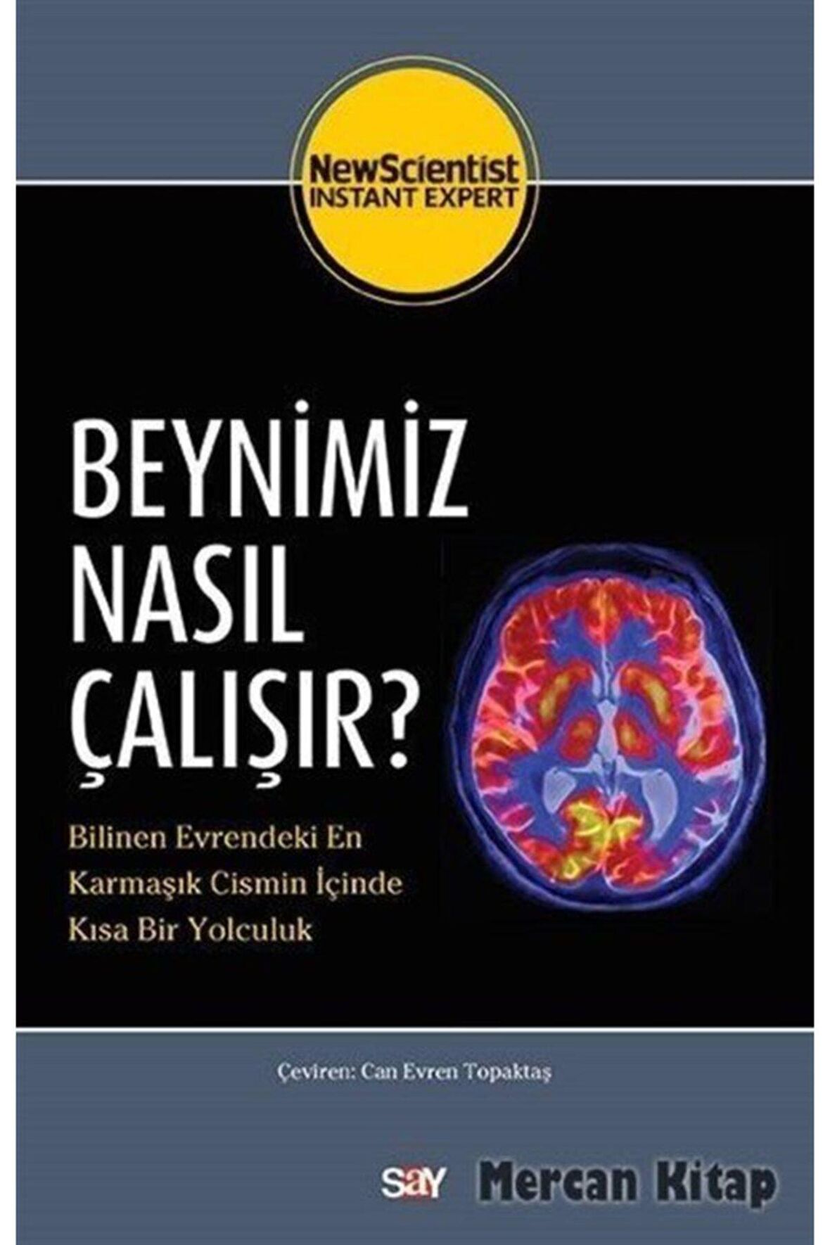 Beynimiz Nasıl Çalışır?