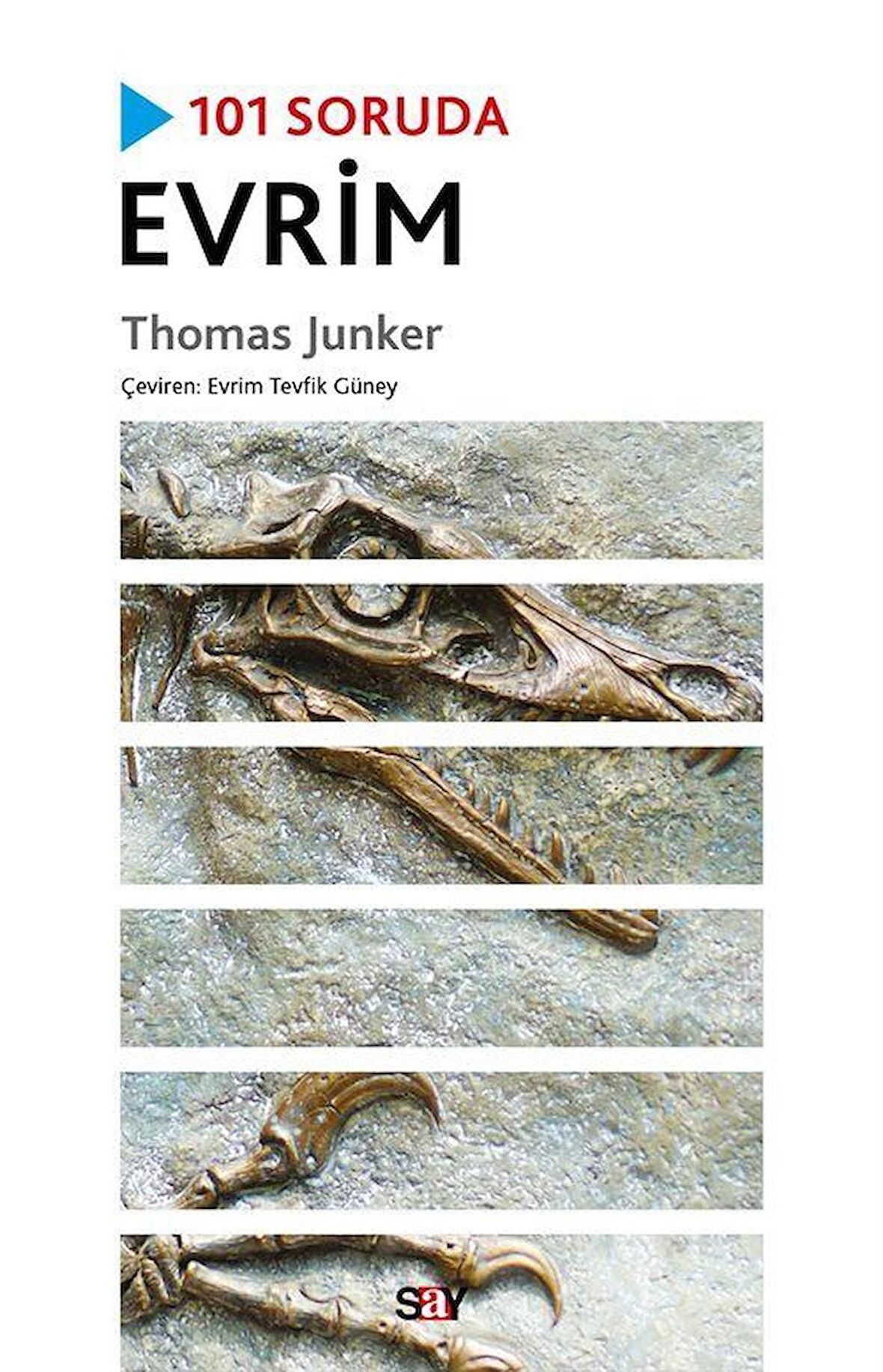 101 Soruda Evrim / Thomas Junker