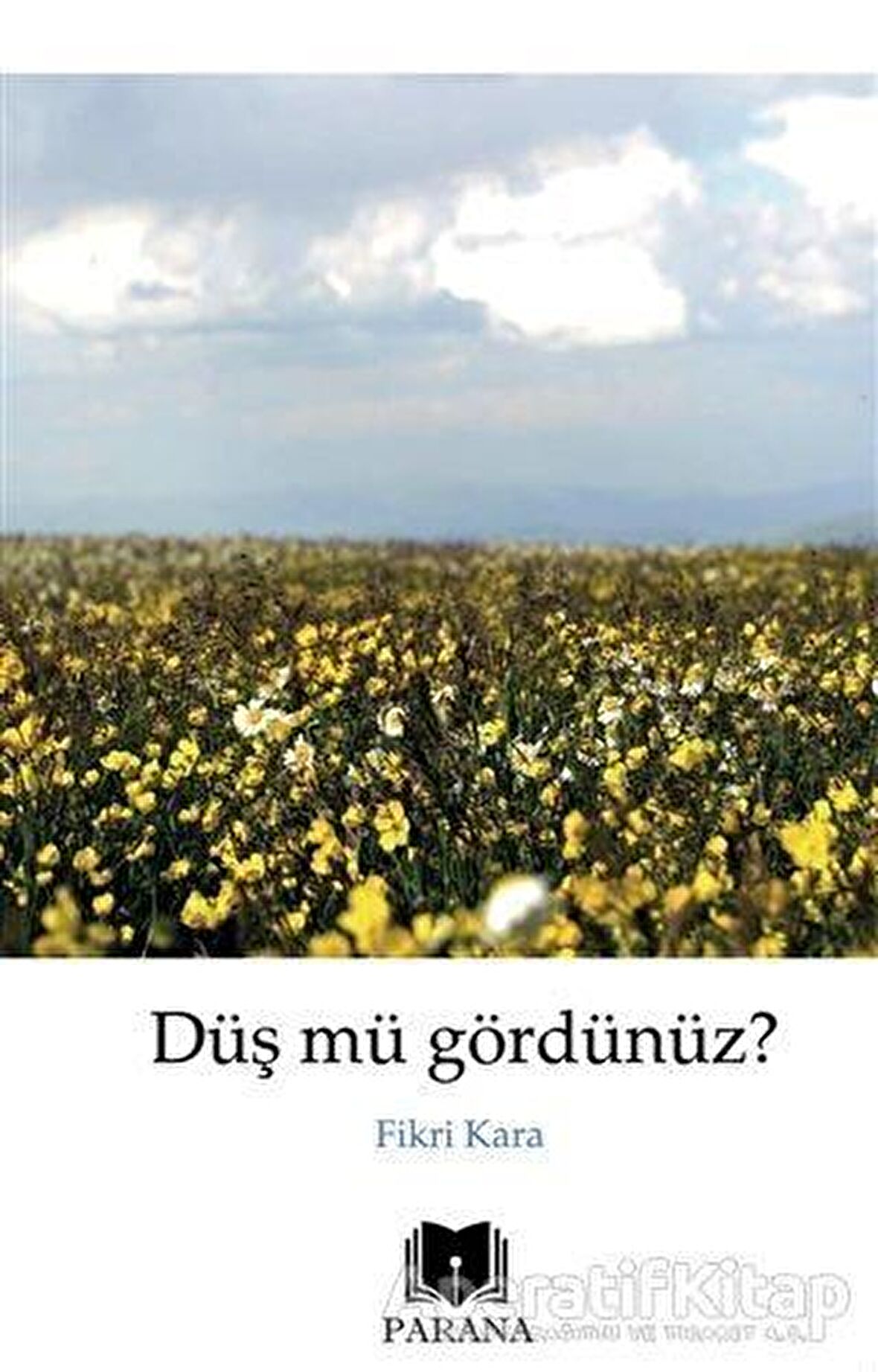 Düş mü Gördünüz?