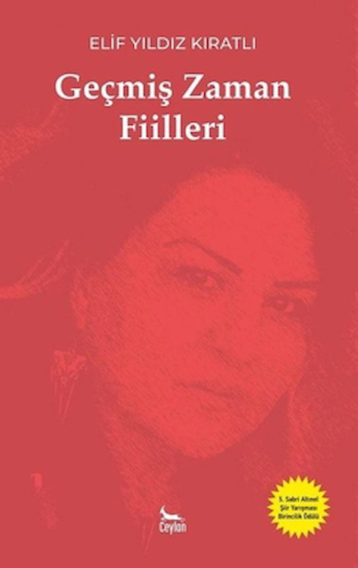 Geçmiş Zaman Fiilleri