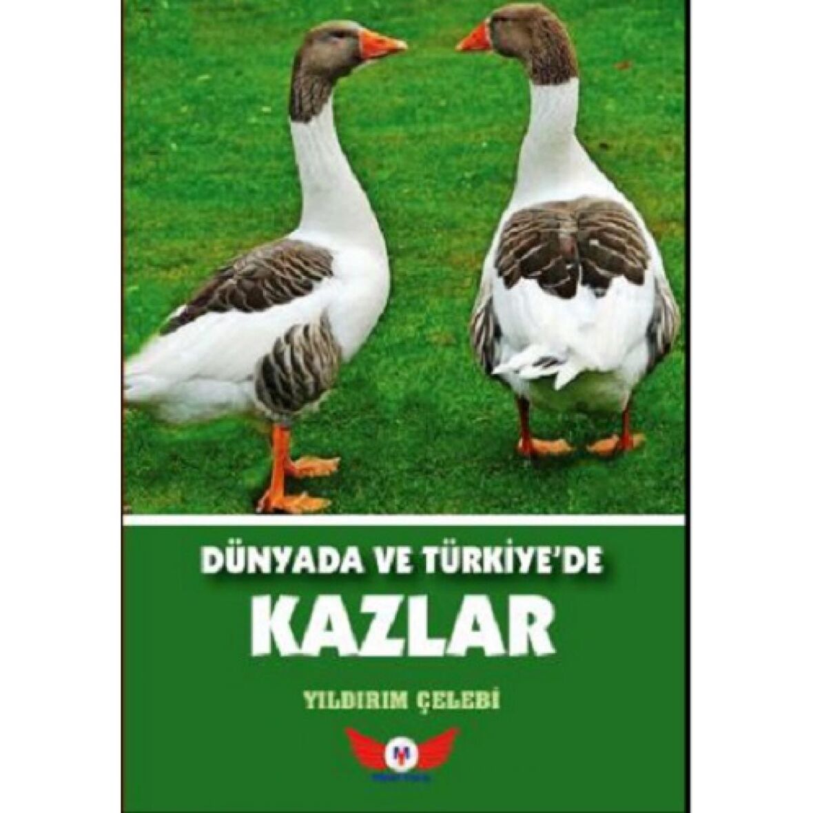 Dünyada ve Türkiye'de Kazlar