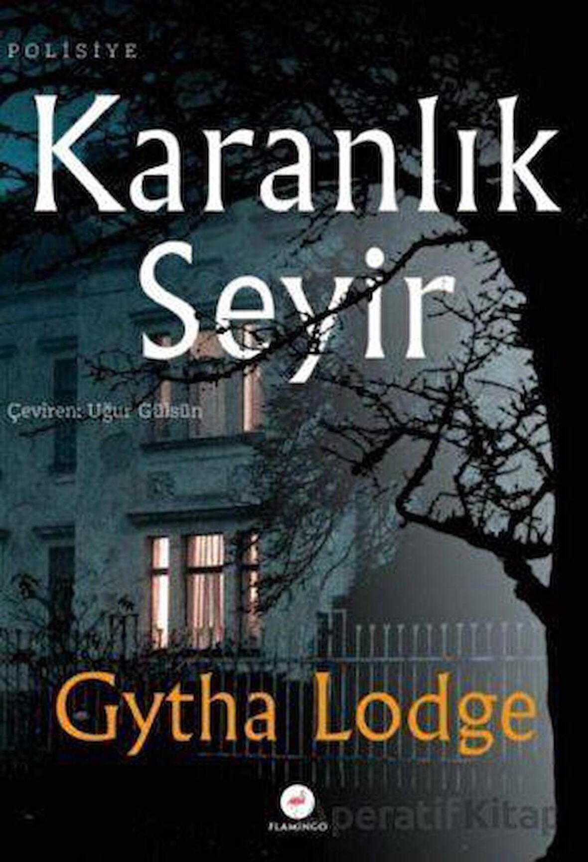 Karanlık Seyir