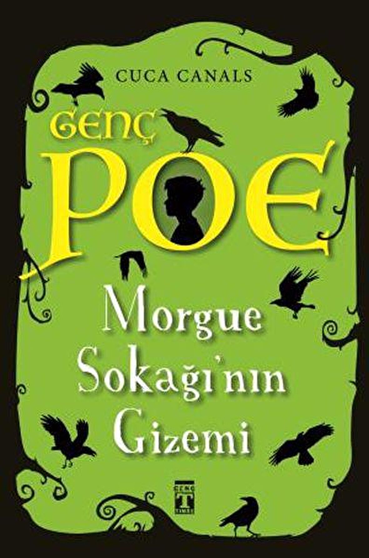 Morgue Sokağı'nın Gizemi - Genç Poe